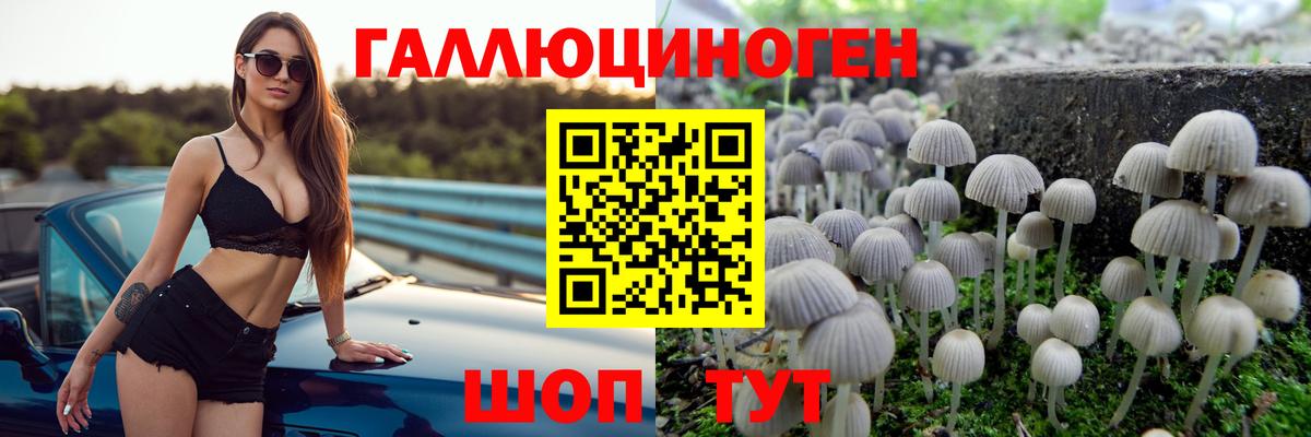 Белорецк  Галлюциногенные грибы Cubensis  Вход с VPN 